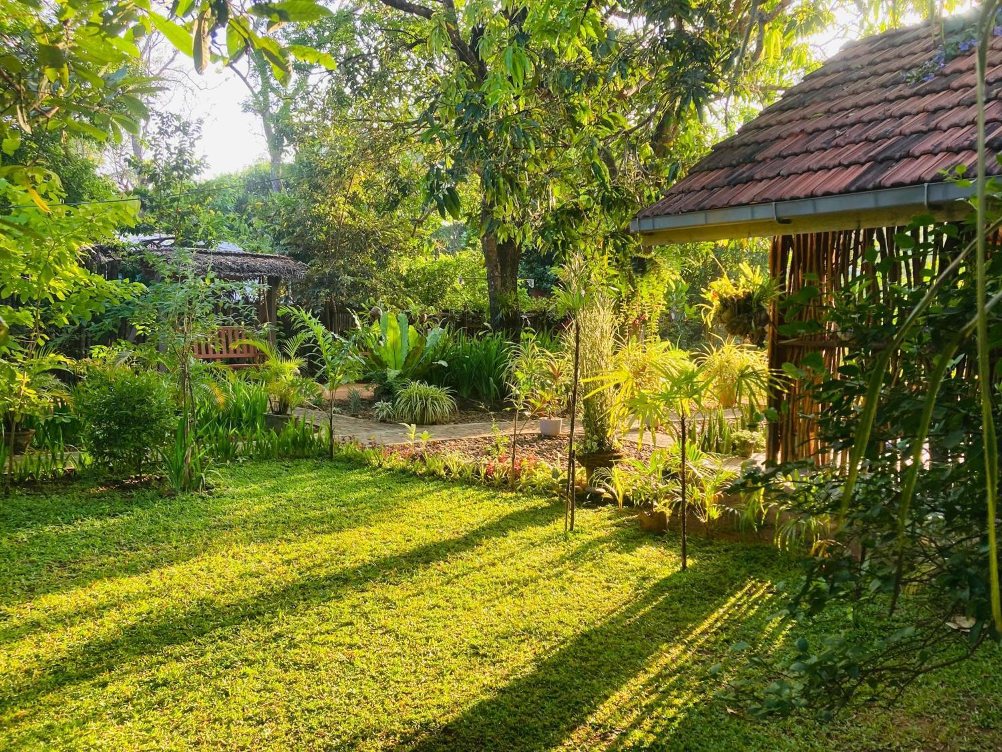 אודוואלאווה Green Paradise Cottage Udawalawa מראה חיצוני תמונה