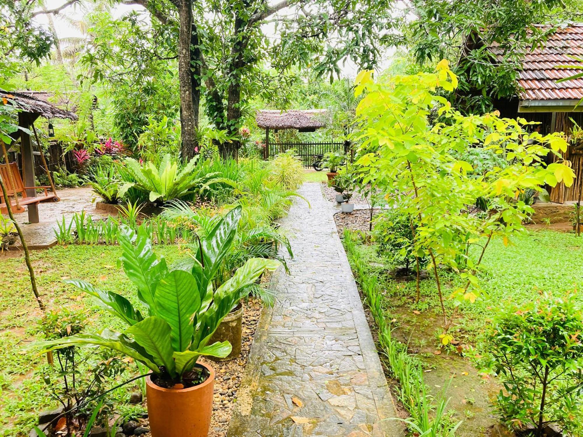 אודוואלאווה Green Paradise Cottage Udawalawa מראה חיצוני תמונה