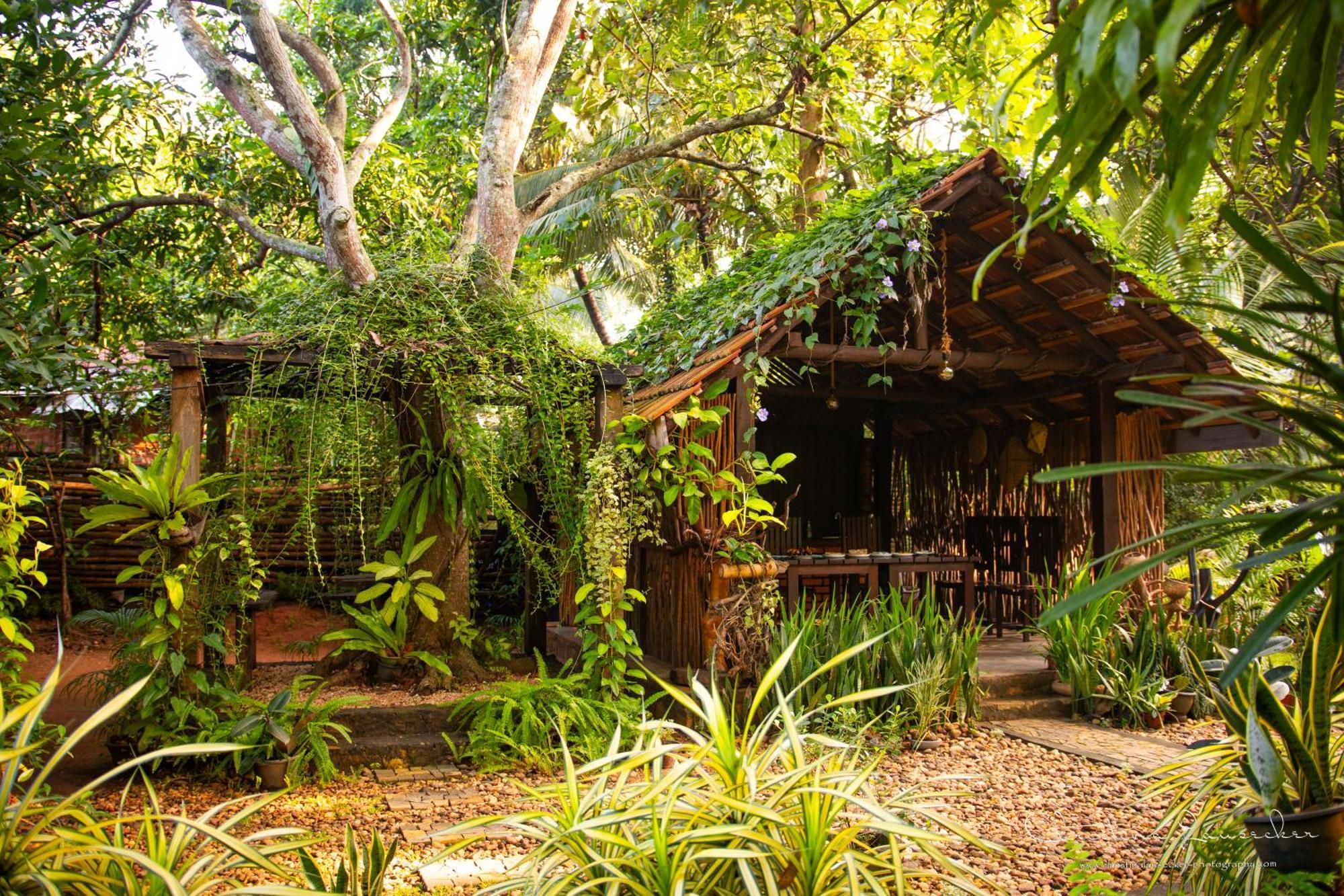 אודוואלאווה Green Paradise Cottage Udawalawa מראה חיצוני תמונה
