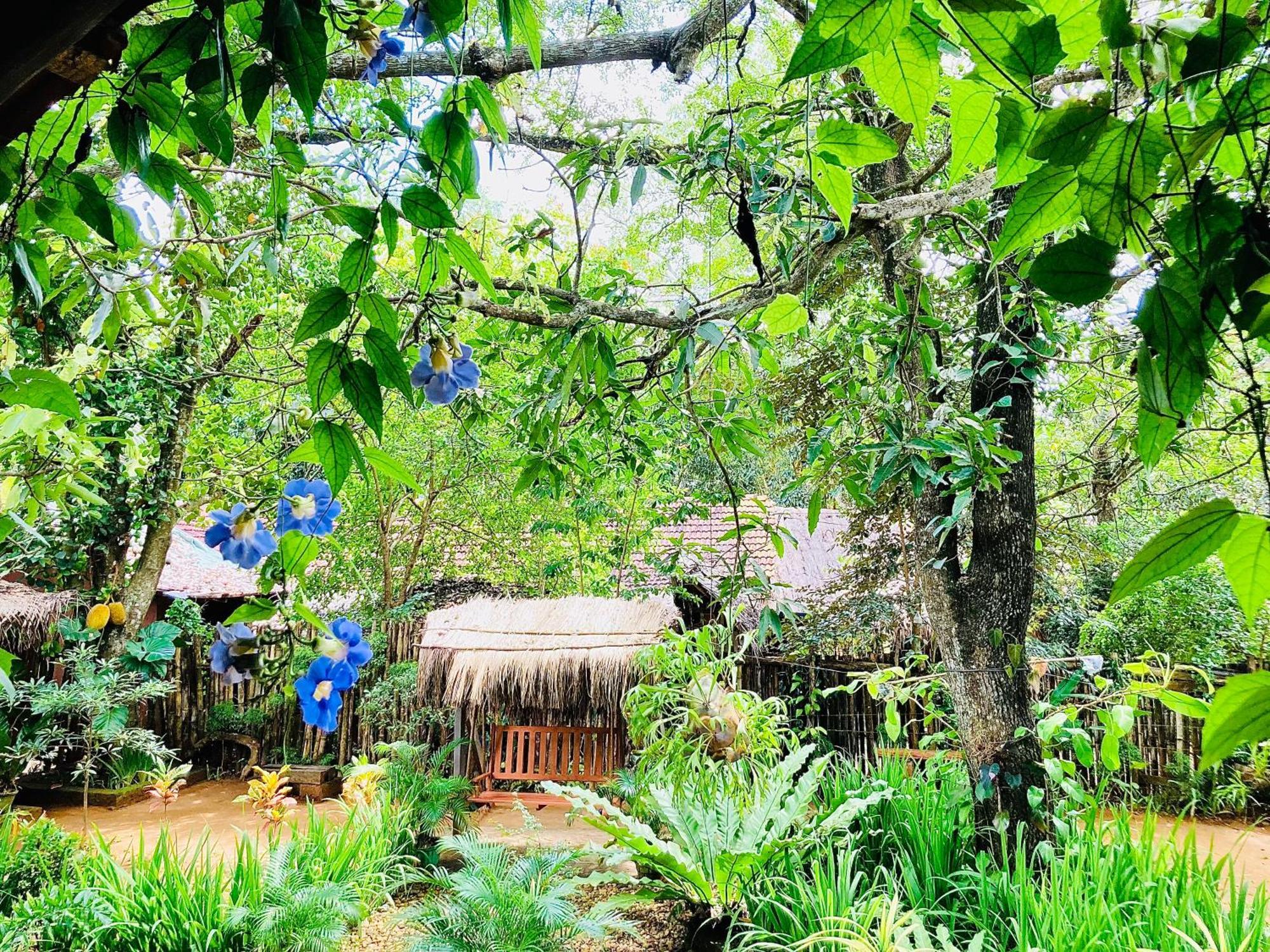 אודוואלאווה Green Paradise Cottage Udawalawa מראה חיצוני תמונה