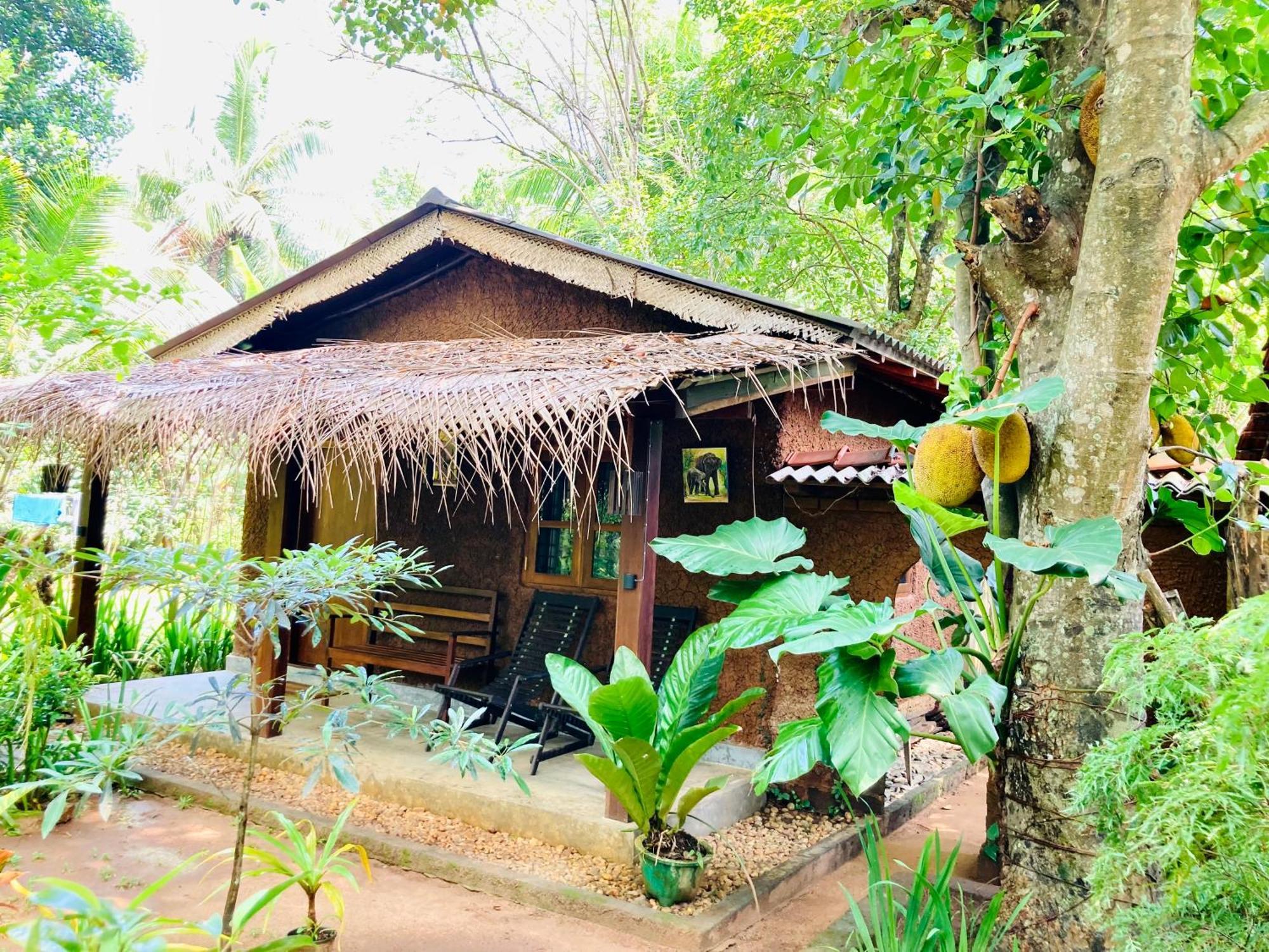 אודוואלאווה Green Paradise Cottage Udawalawa מראה חיצוני תמונה