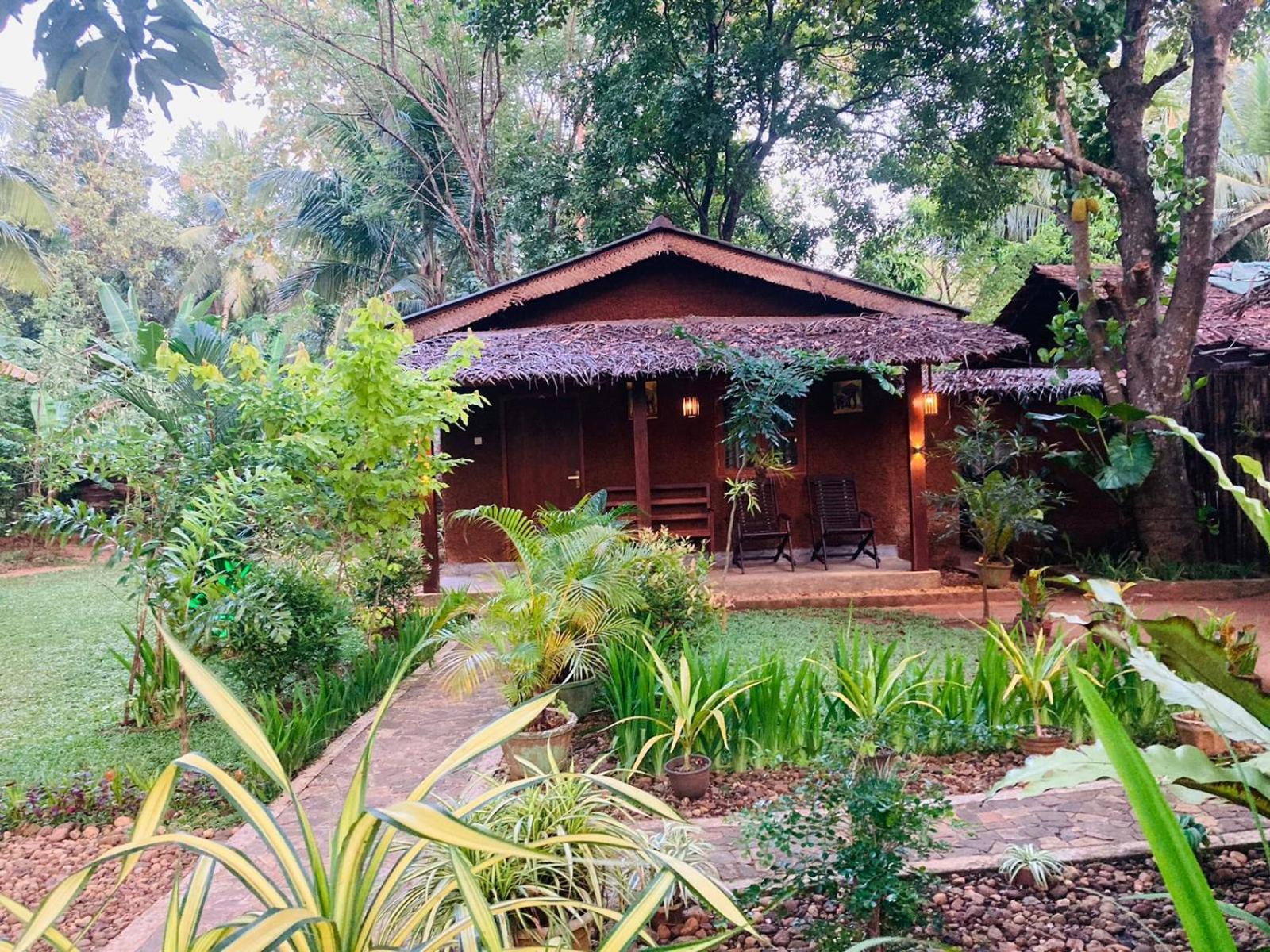 אודוואלאווה Green Paradise Cottage Udawalawa מראה חיצוני תמונה