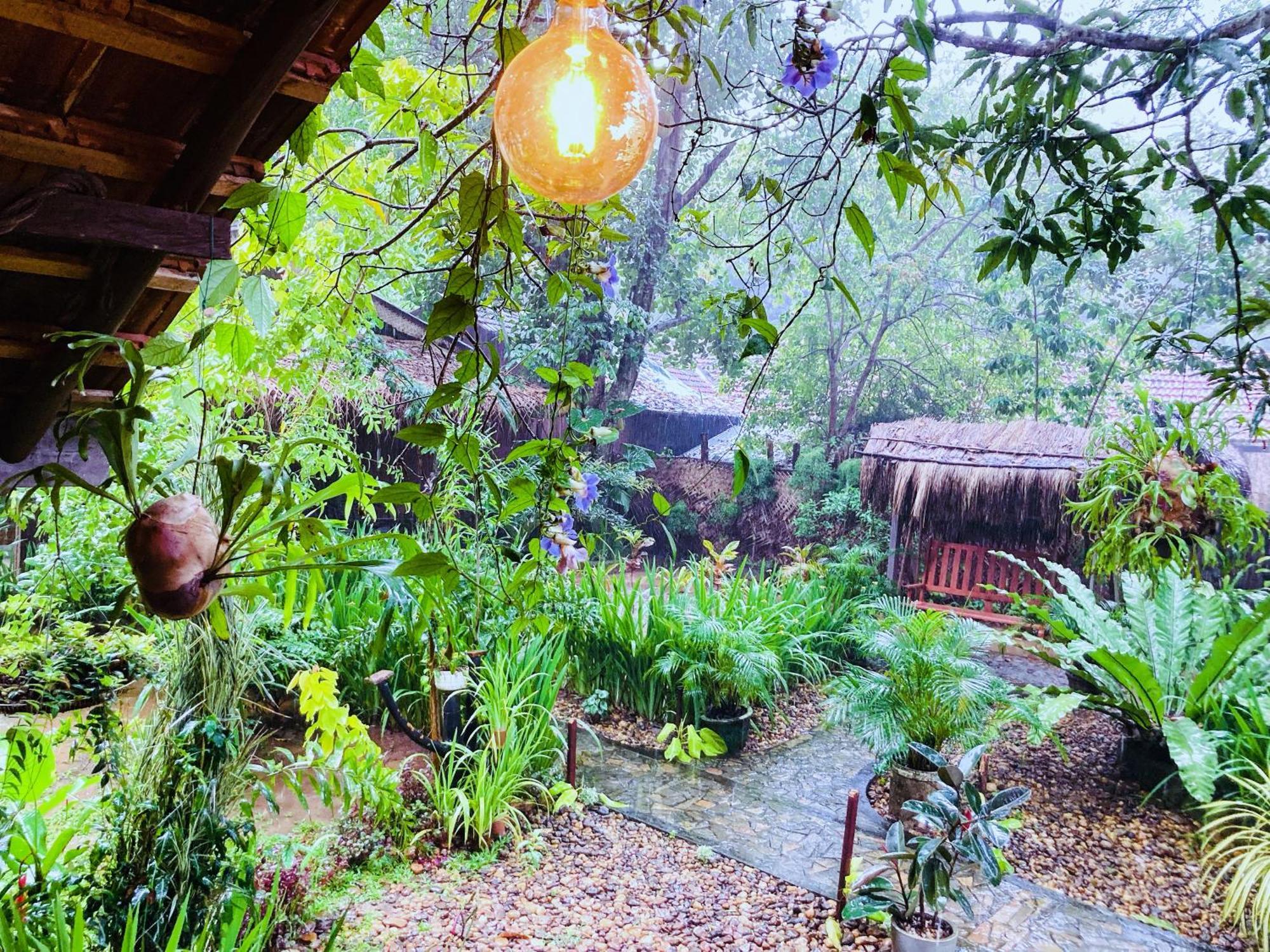 אודוואלאווה Green Paradise Cottage Udawalawa מראה חיצוני תמונה